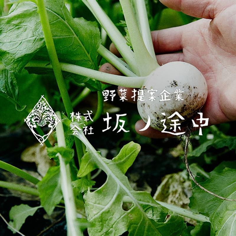坂ノ途中